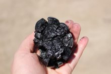 Biochar displayed in hand.