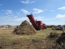 Pile of wood chips. 