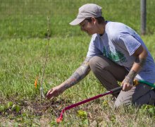 Person leaning down to check the dryness of a newly planted tree. 