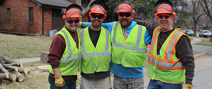 Tree crew gathered around ash trees