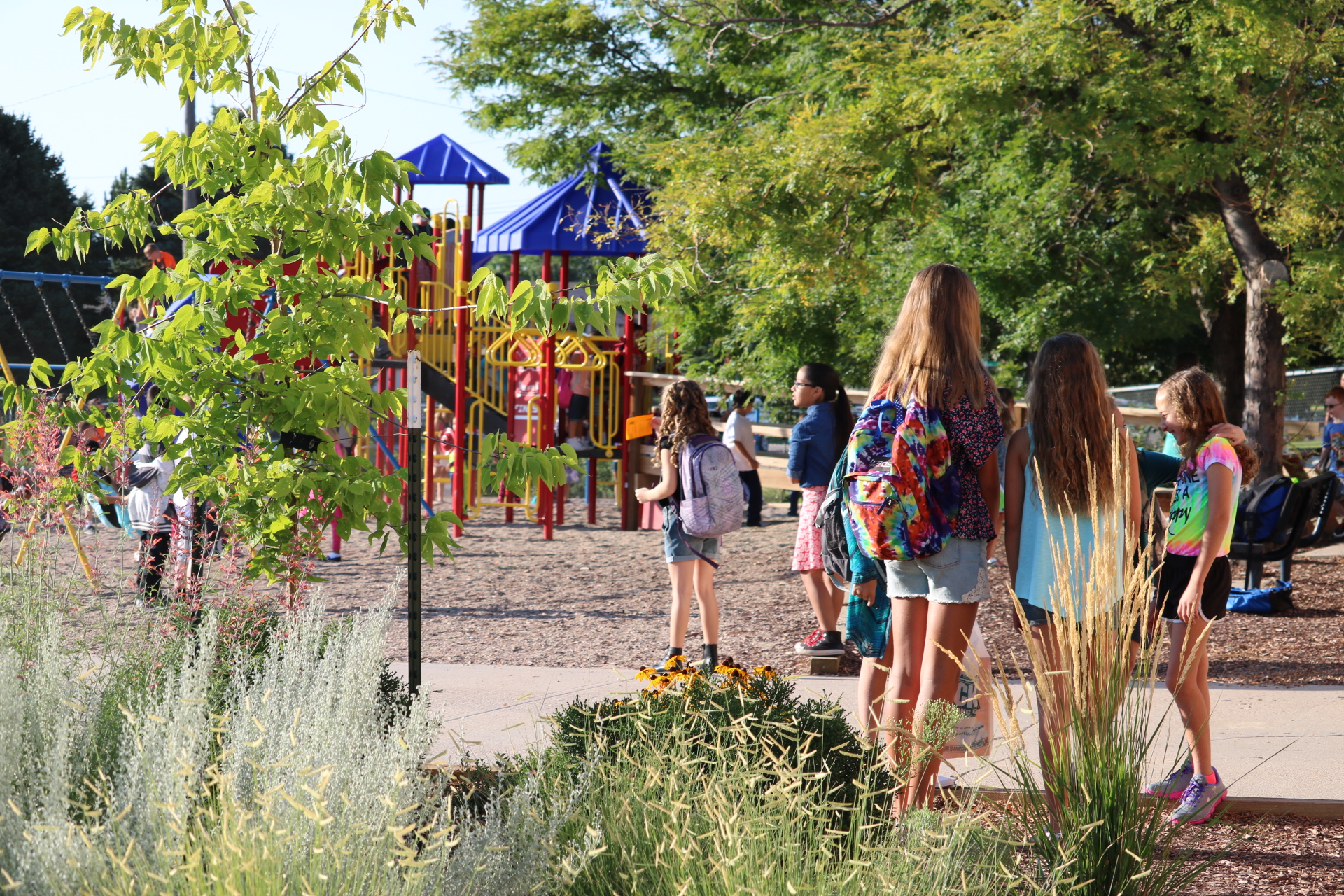 Students playing in playground 