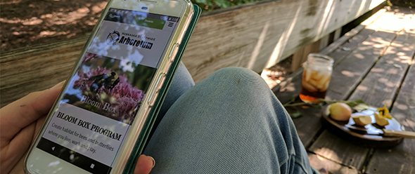 Person using a cell phone to search for plant information.