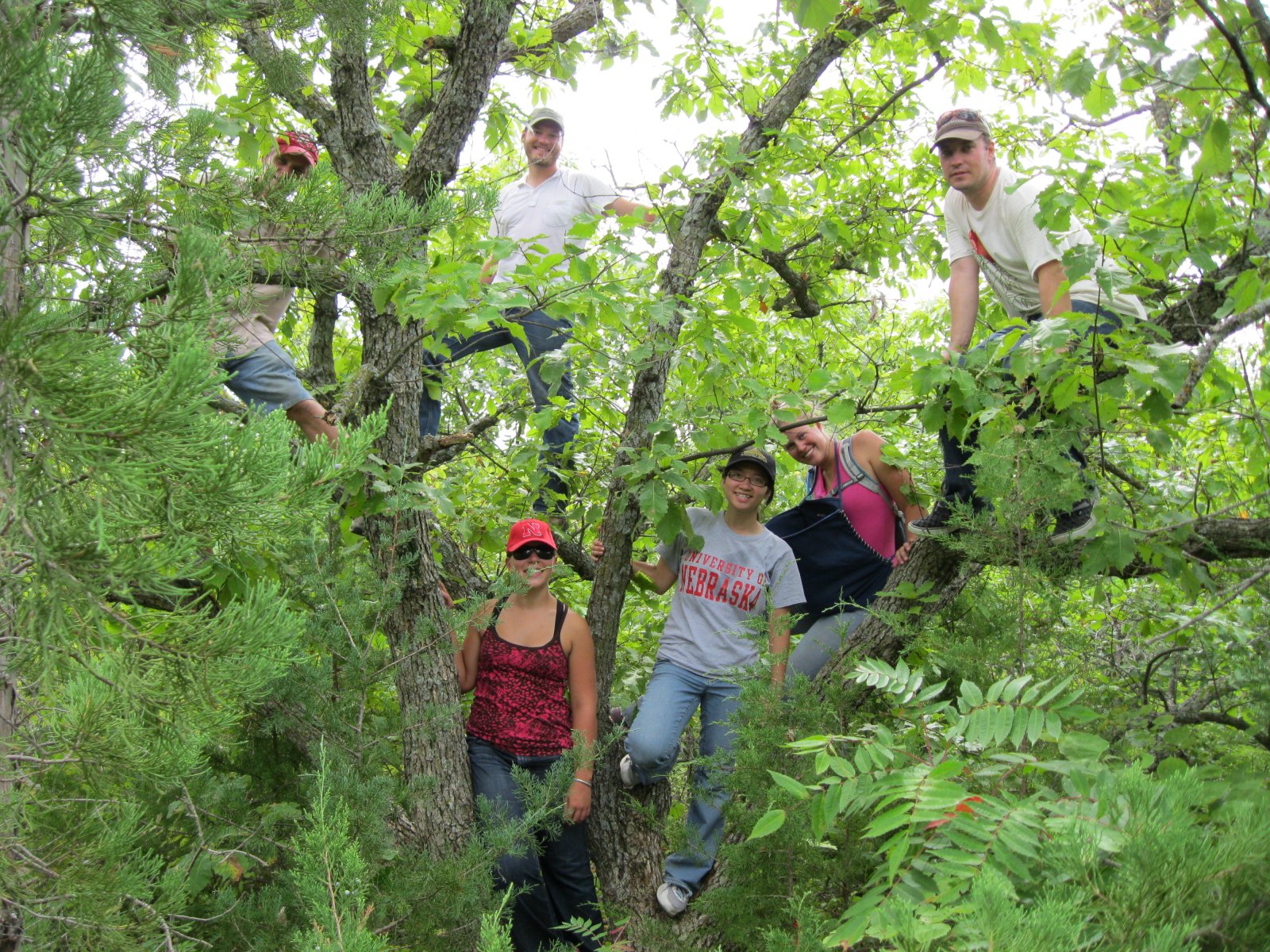 A group of students pose in a evergreen tree.