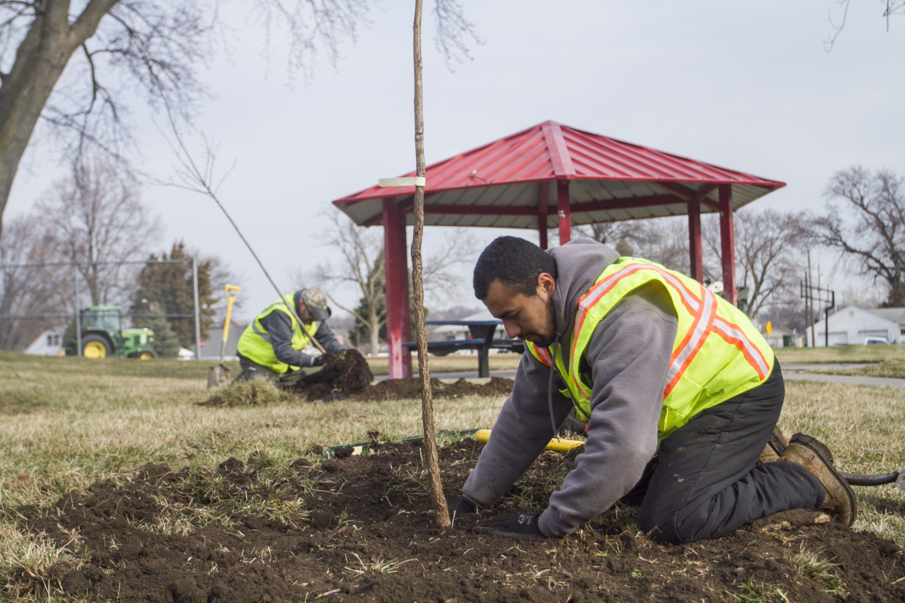 Un voluntario ayuda a plantar árboles en un parque de Omaha.