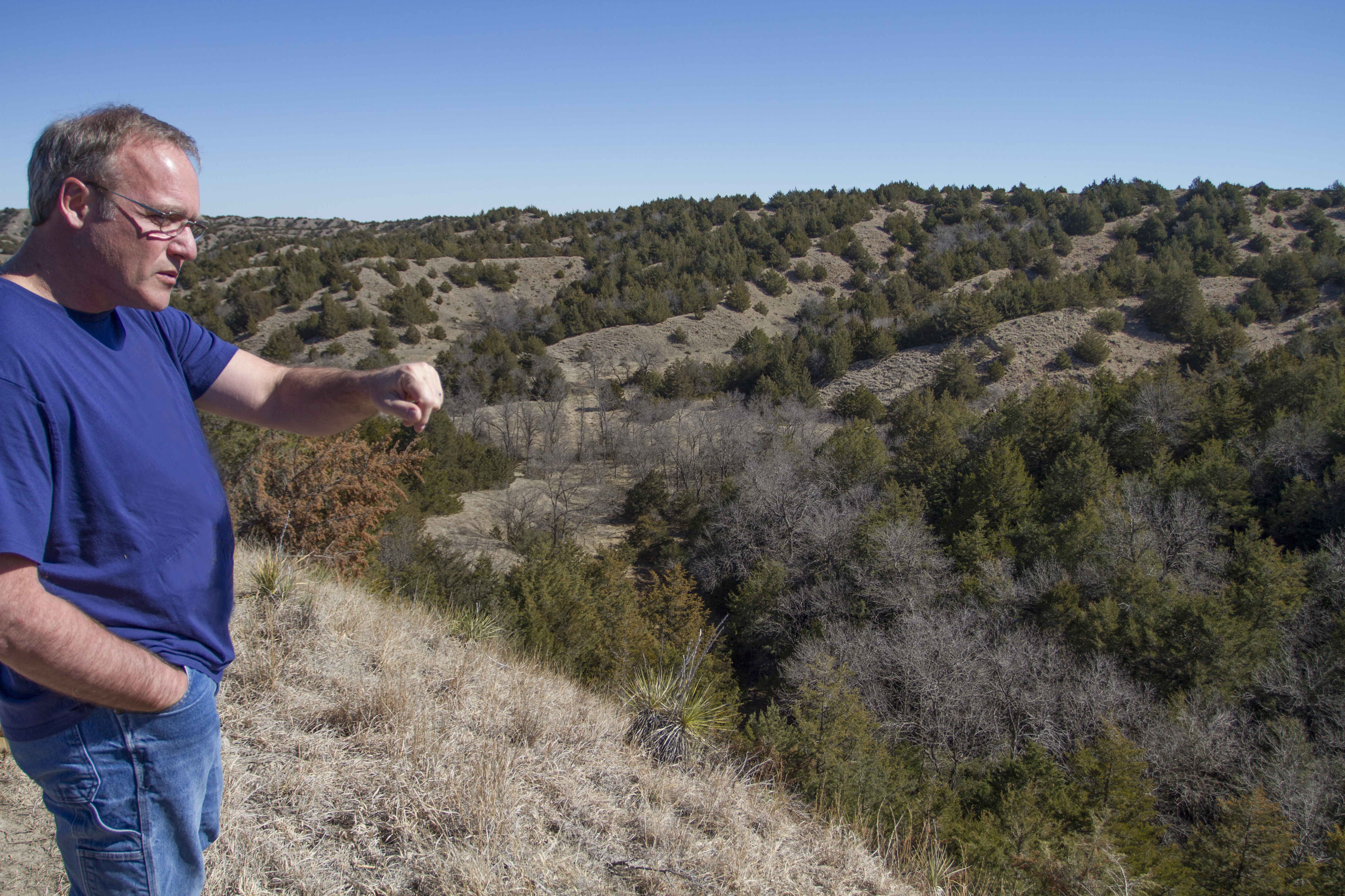 State Forester John Erixson points to hardwood stand in Cedar Canyon.