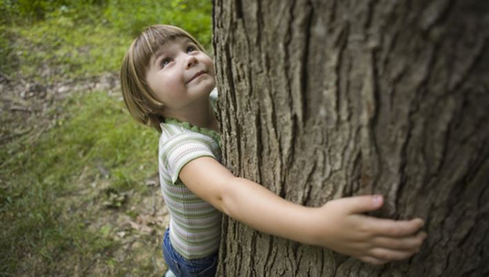 A young girl wraps her arms around the trunk of a large tree.