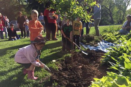 A group of children help backfill a newly planted tree.