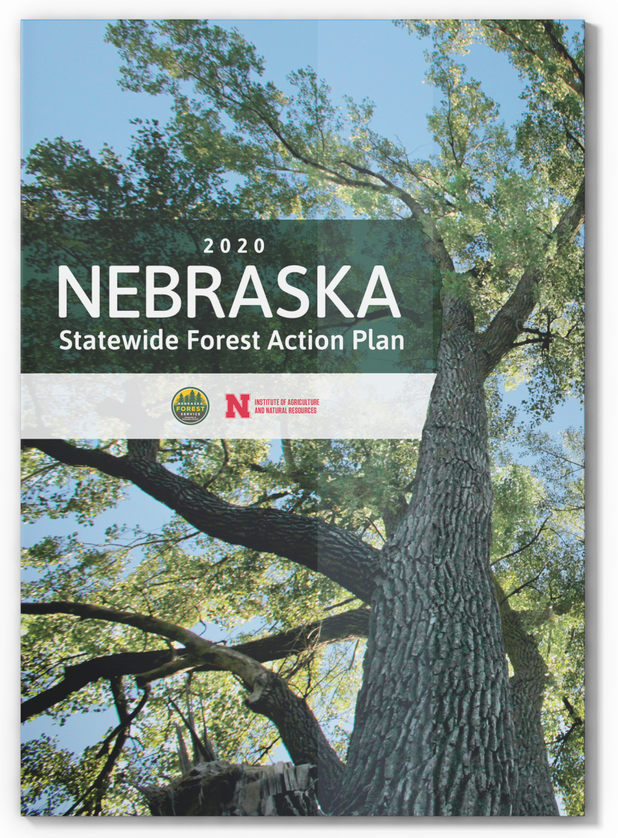 Cover of NFS Action Plan.