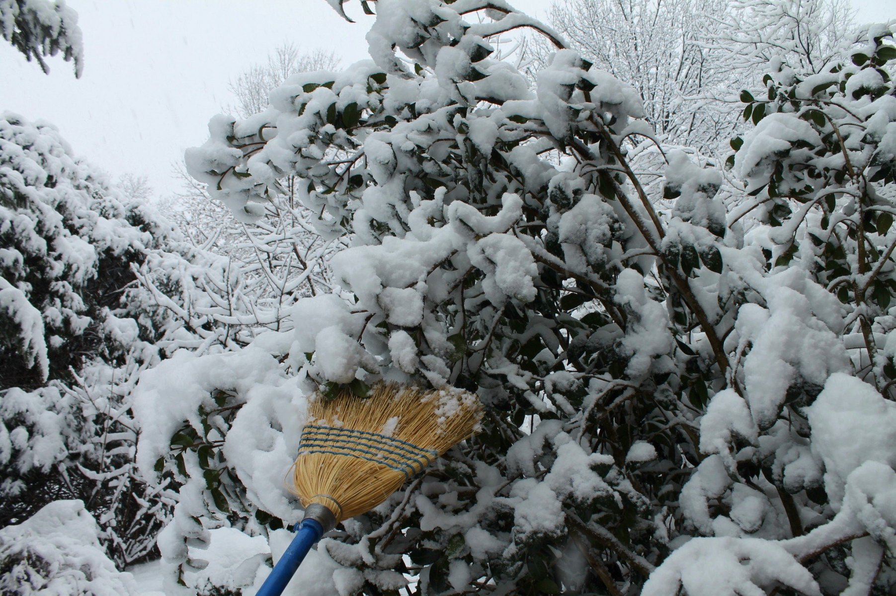 Using a straw broom to remove snow