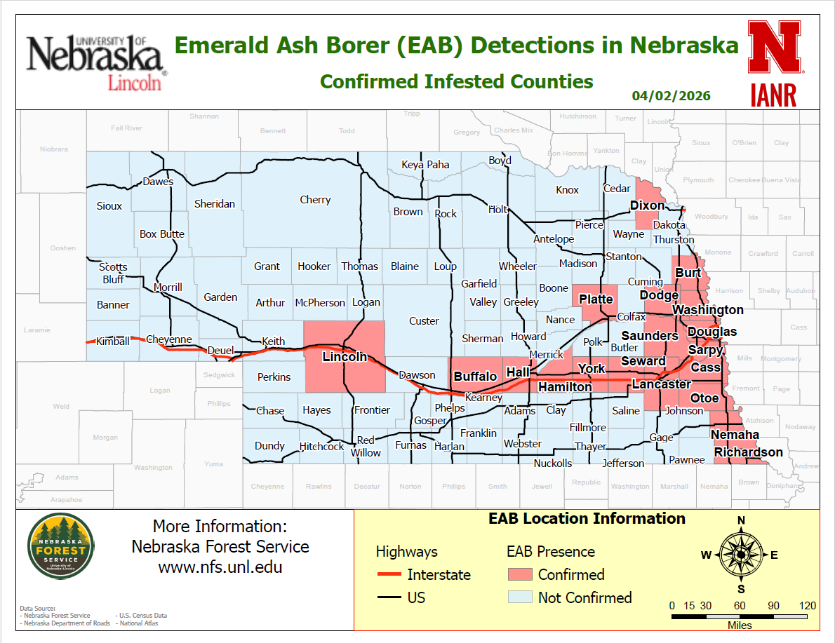 Map of Nebraska showing Emerald Ash Borer detection with confirmed infestations highlighted in red.