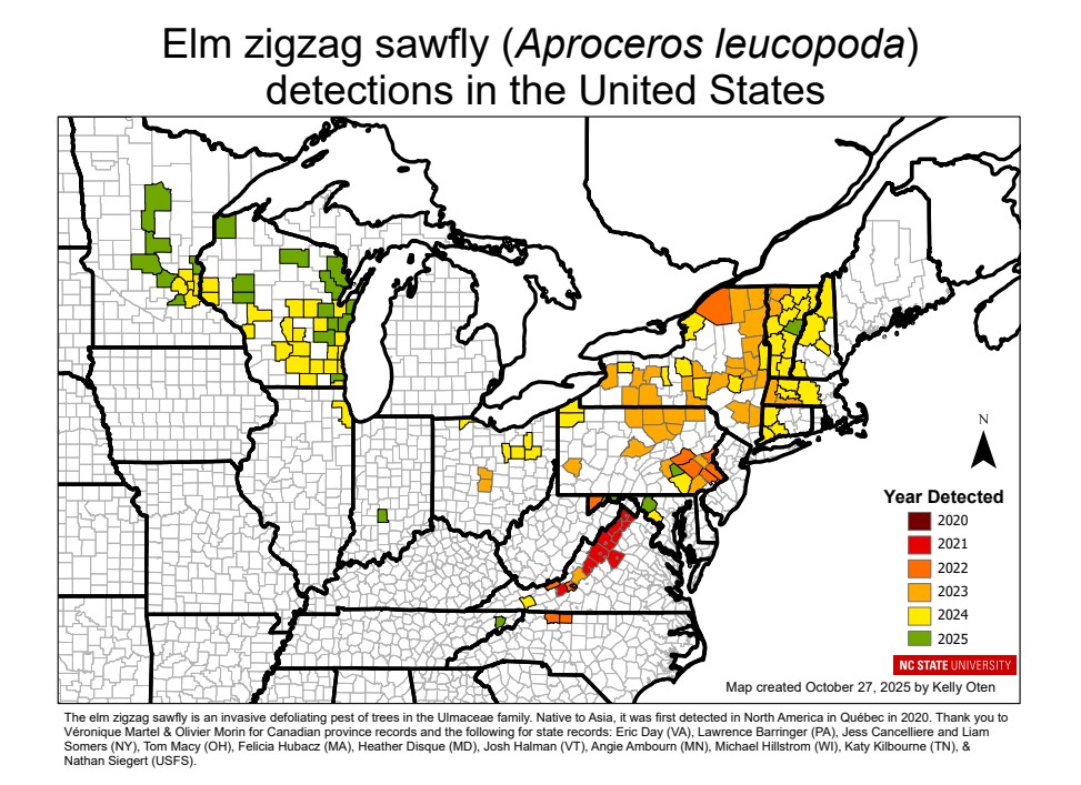 Map showing Elm zigzag sawfly detections in the U.S., color-coded by year from 2020 to 2025.