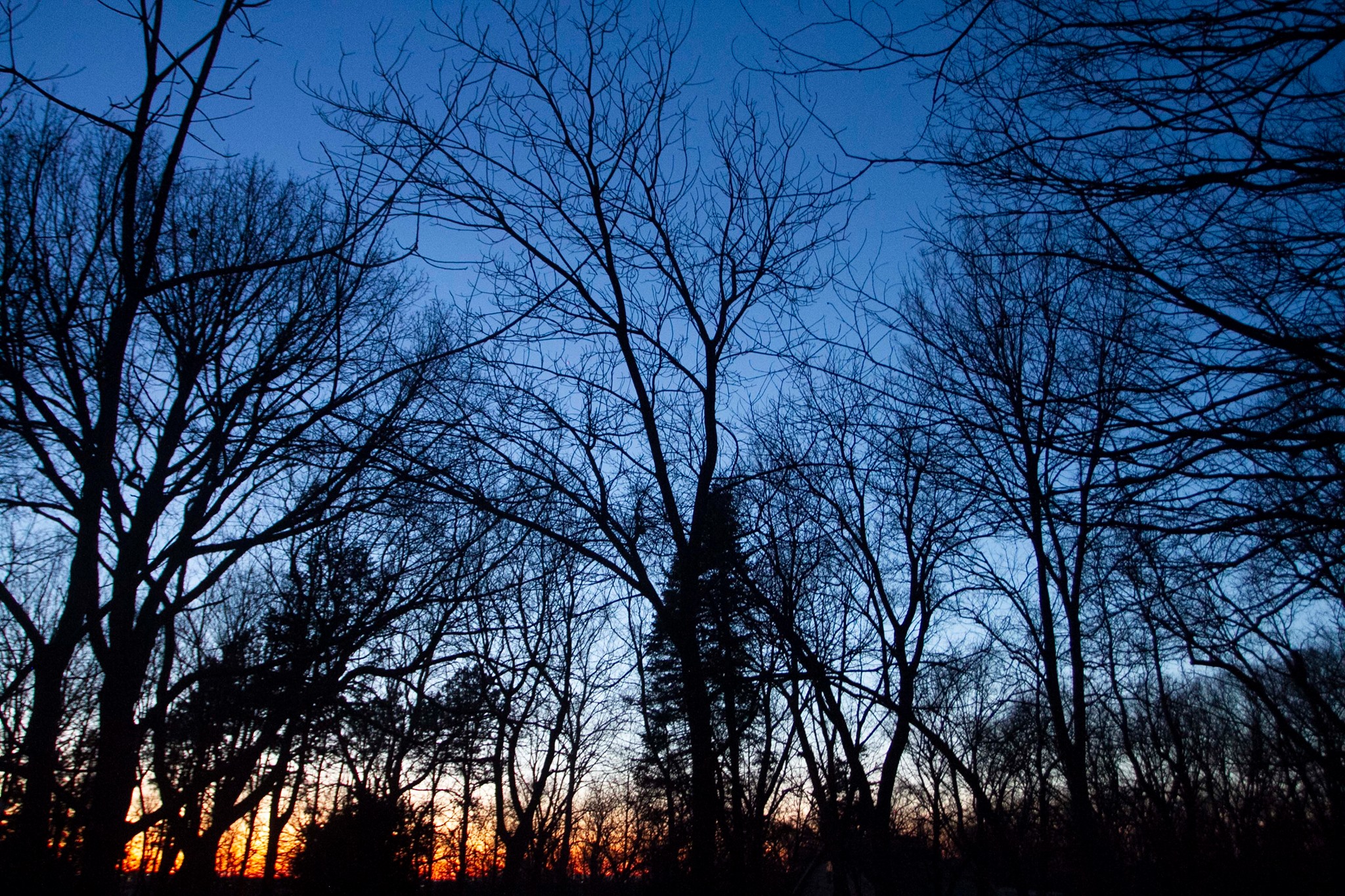 A photo of the skyline at Prairie Pines