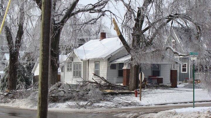 Ice storm brings down limb in homeowner's yard. 