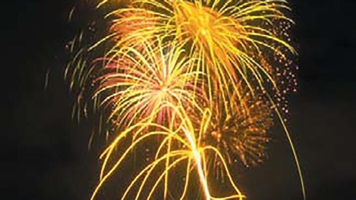Fireworks exploding in the nighttime sky. 