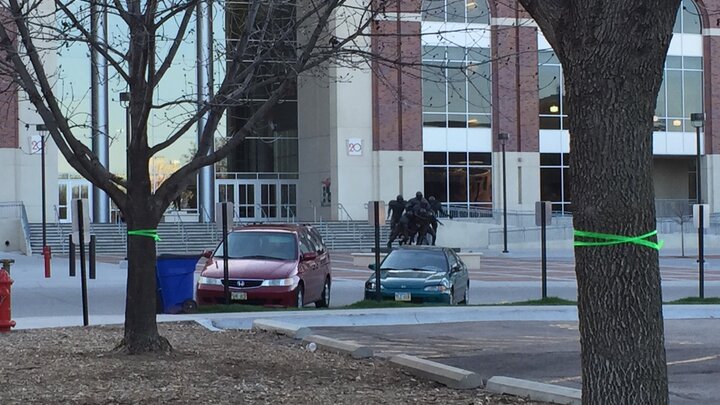 Ash trees outside of Memorial Stadium.