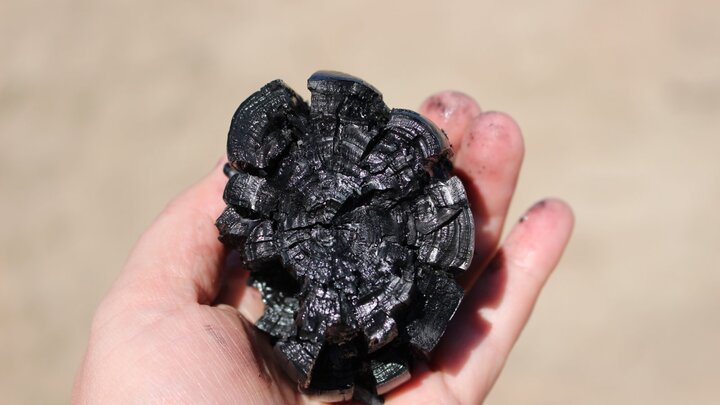 A person holding a piece of newly-made biochar. 