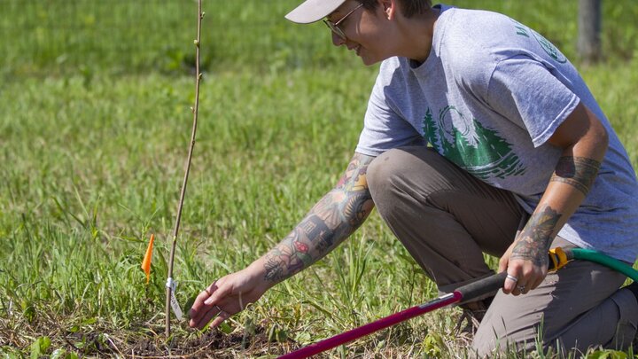 Person leaning down to check the dryness of a newly planted tree. 