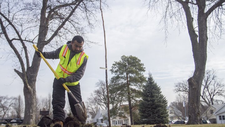 A volunteer plants a tree at an Omaha park. 