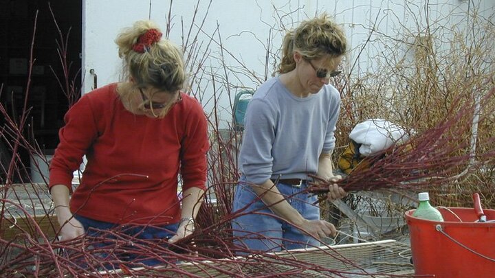 Workers process woody floral stems in Nebraska