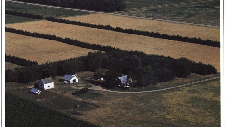 Photo of a well-designed farmstead windbreak.