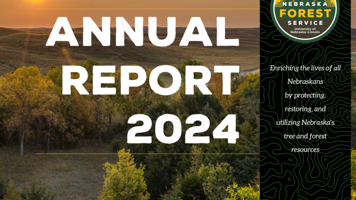 A photo of the cover of the 2024 NFS Annual Report