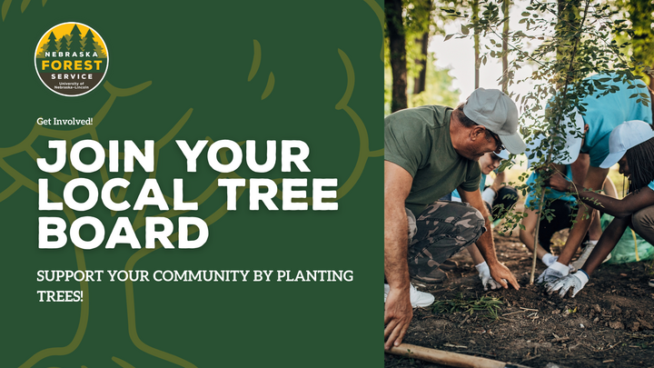 A flyer promoting joining your local tree board.
