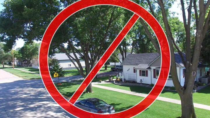 Native ash trees are no longer recommended for plantings. 