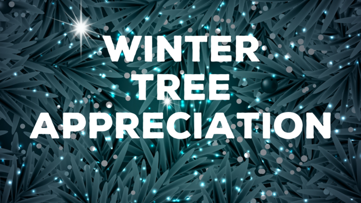 A photo graphic of the NFS Trees 101 Webinar for Winter Tree Appreciation