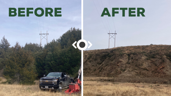 A before and after photo of a fuels management project