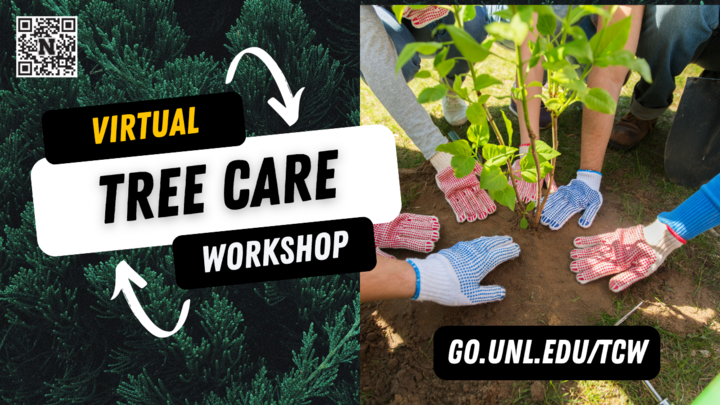 A flier for the 2025 Virtual Tree Care Workshop