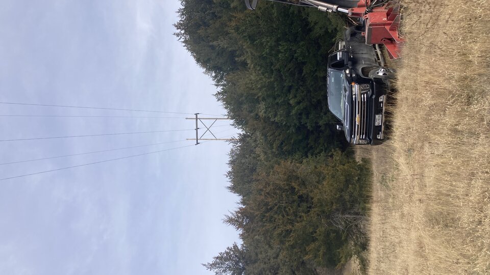 A photo of a treeline near power lines