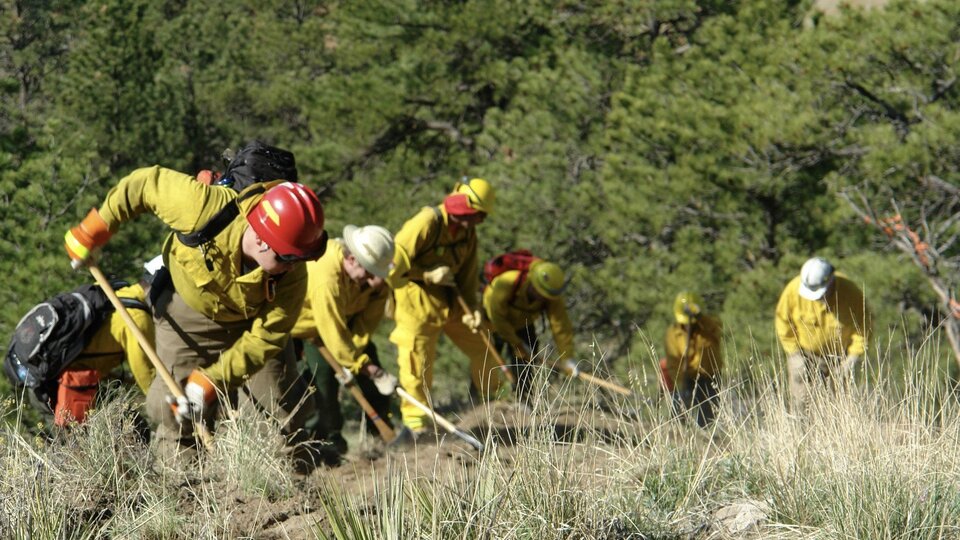 A photo of wildland firefighters digging line
