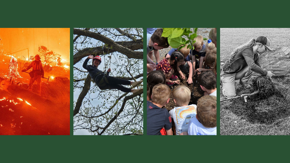 A banner of different programs offered by the Nebraska Forest Service