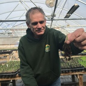 An NFS greenhouse technician displays a pine seeding