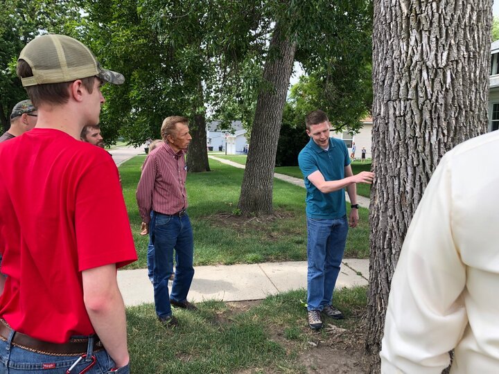 A Nebraska Forest Service Forest Health Specialist analysizes a tree