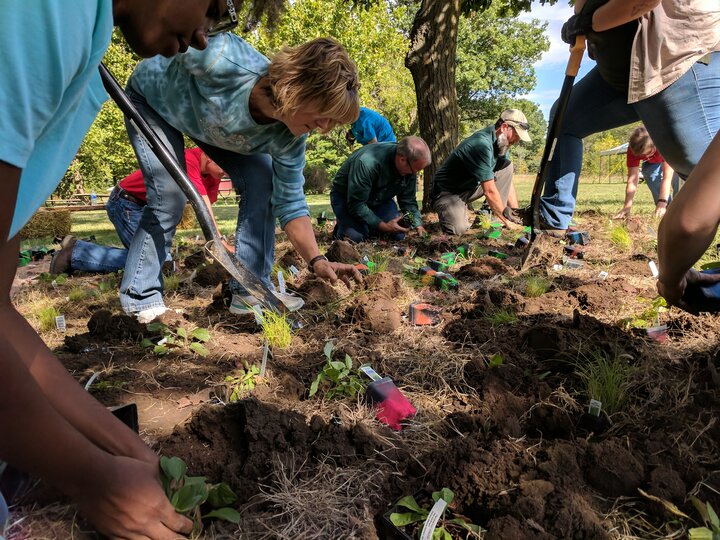 A photo of people planting together