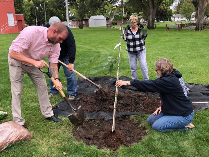A photo of people planting a tree together