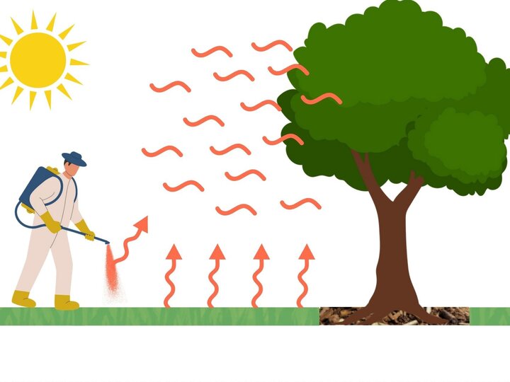 A photo of a graphical representation of vapor drift