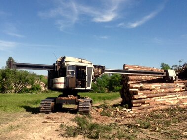 A photo of machinery working with forest products