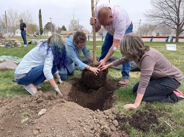 Photo of a planting at a workshop