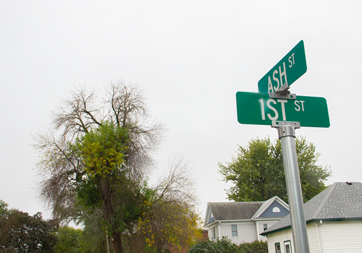 Photo of an ash tree in Greenwood, Nebraska