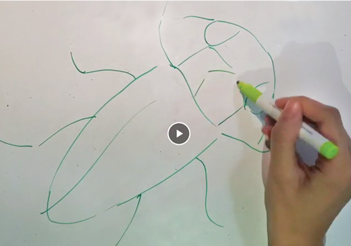 A photo of a drawing of EAB