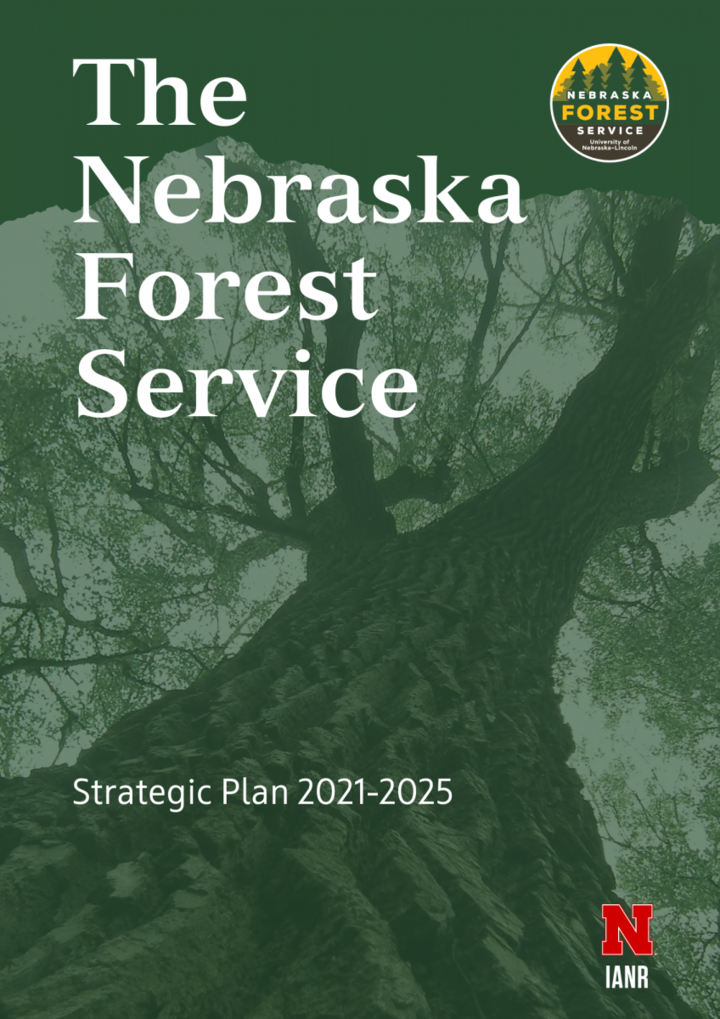 Cover of NFS Strategic Plan.