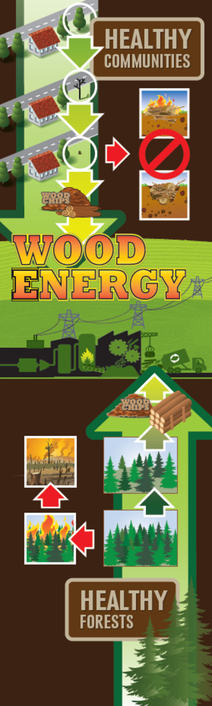 Wood energy diagram healthy communitites and healthy forests are connected