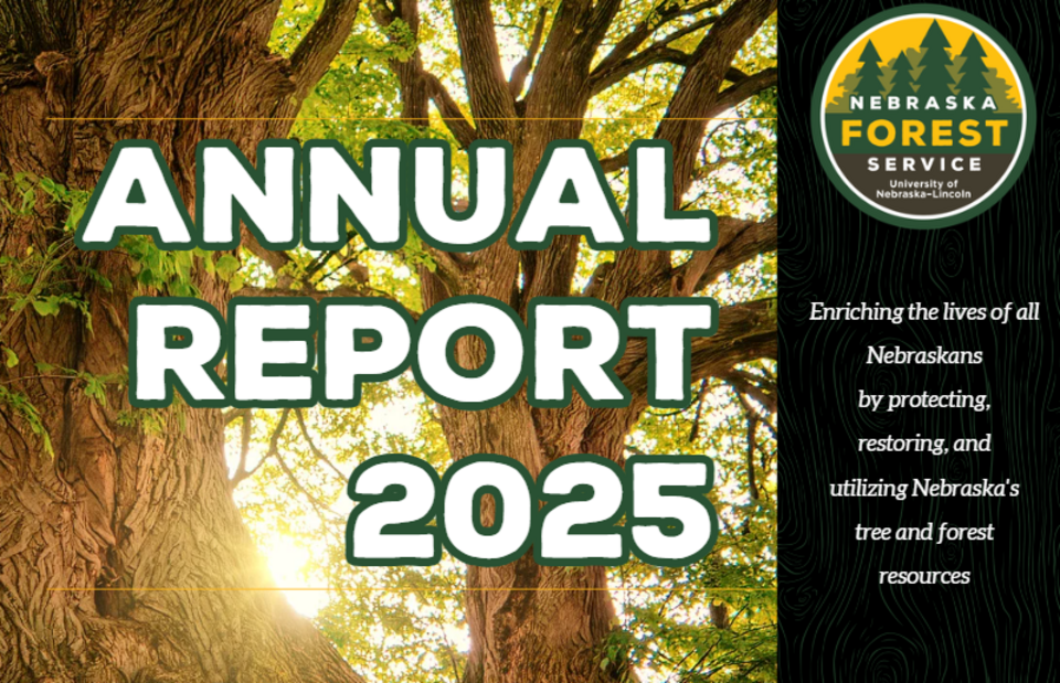 Annual Report 2025 text over a sunlit tree, Nebraska Forest Service logo on the right.