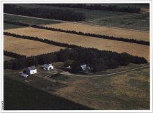 Photo of a well-designed farmstead windbreak.