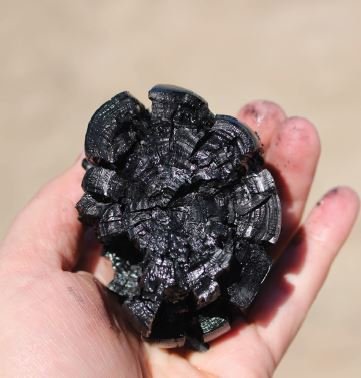 Photo of someone holding a piece of biochar