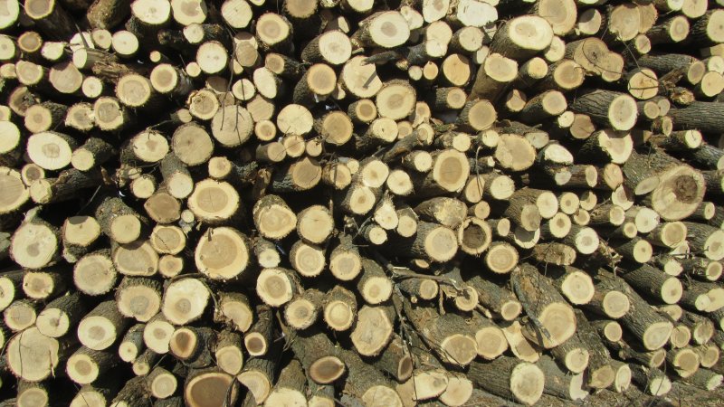 Urban lumber logs stacked.