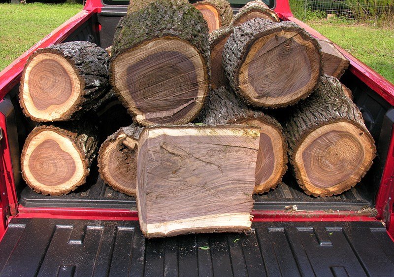 Photo of walnut wood in back of a truck